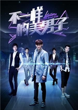 不一样的美男子 未删减版